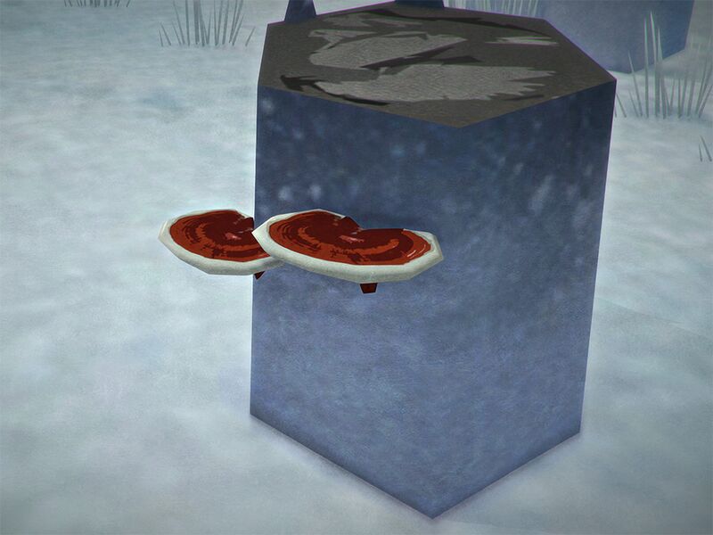 File:Reishi mushrooms on tree stump.jpg