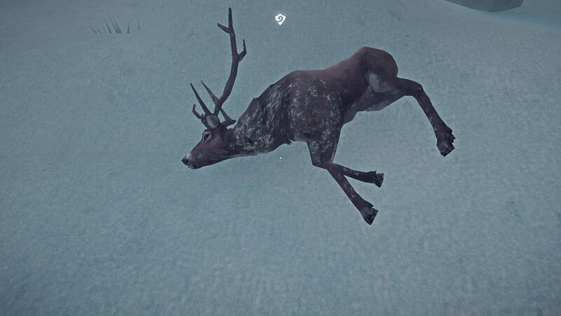 File:Fresh Frozen Deer.jpg