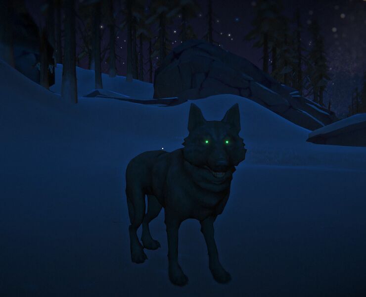 File:Wolfnighttime.jpg