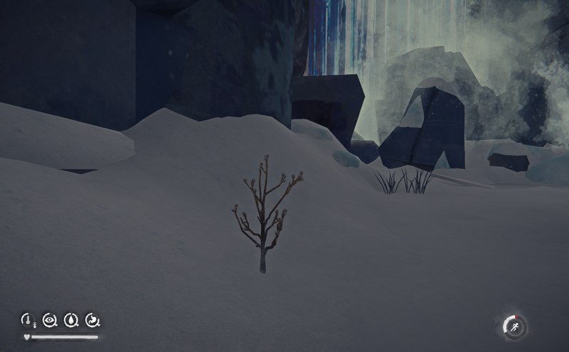 File:Burdock plant.png