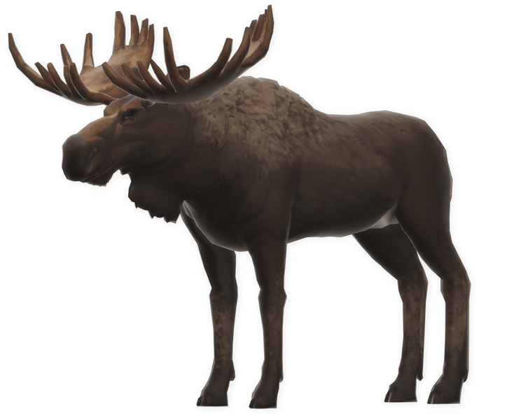 File:Moose.png