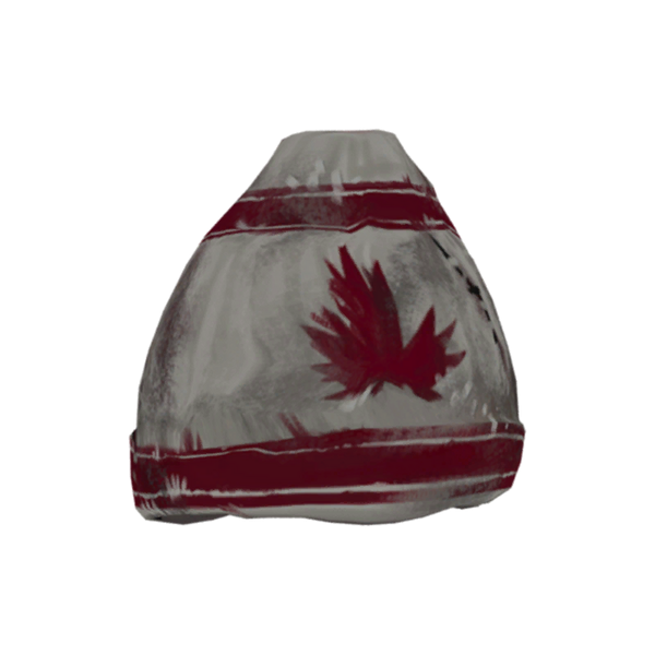 File:Wool Toque Model Damaged icon.png