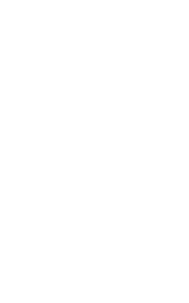 File:Wintermute hatchet.png