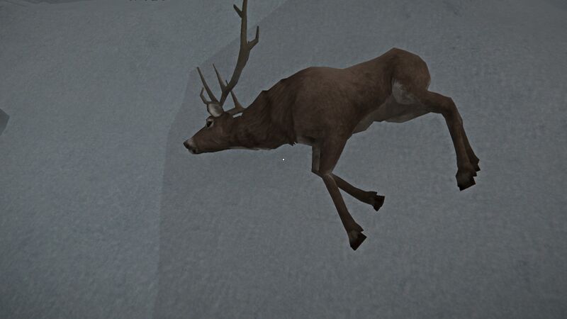 File:Fresh Ravaged Deer.jpg
