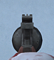 The Revolvers iron sights