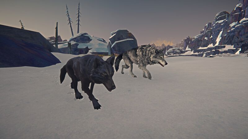 File:Wolf and Timberwolf.jpg