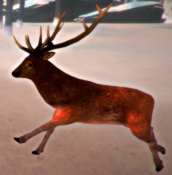 File:Deer Running.jpg