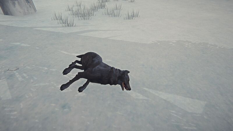 File:Wolf Carcass.jpg