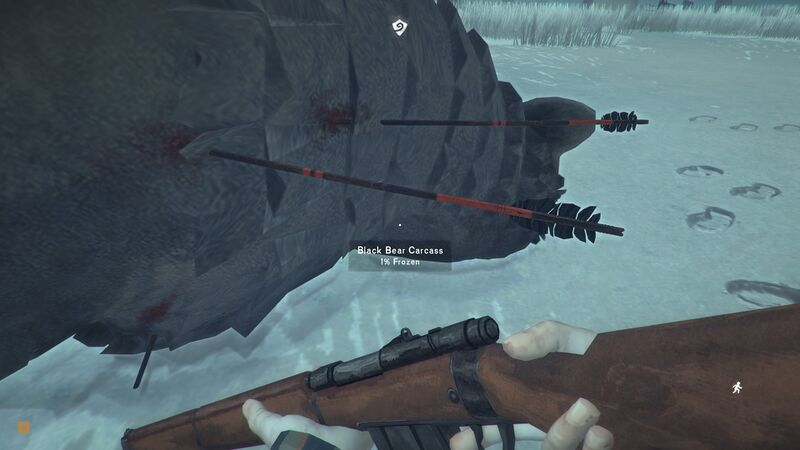 File:Dead Old Bear Arrows.jpg