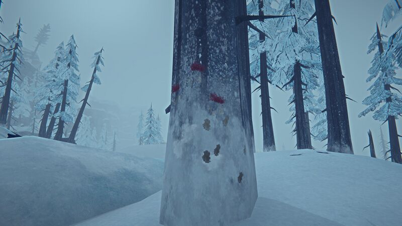 File:Cougar Tree Markings.jpg