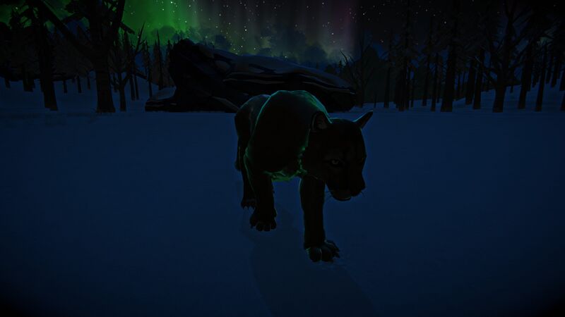 File:Aurora Cougar.jpg