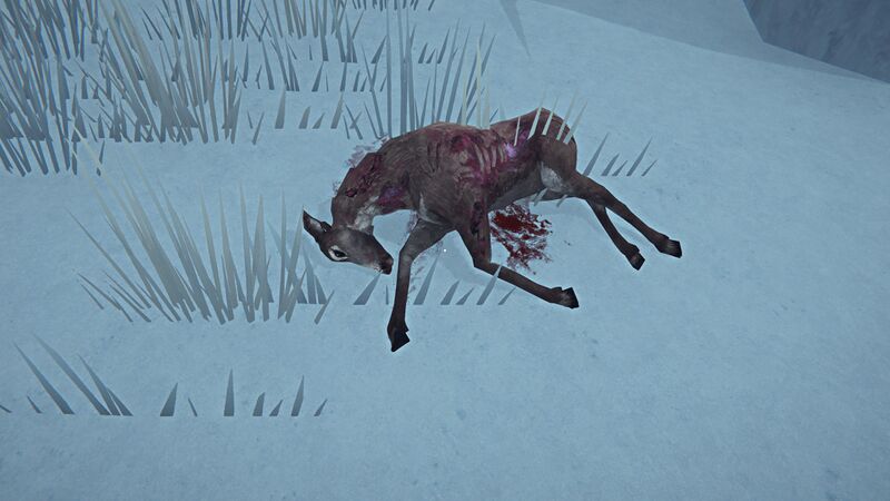 File:Ravaged Deer Remains.jpg
