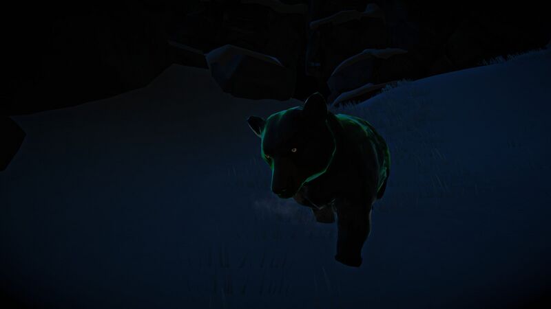 File:Aurora Bear.jpg