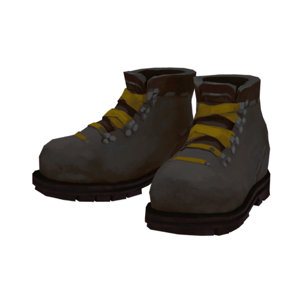 File:Mountaineering Boots Model icon.png