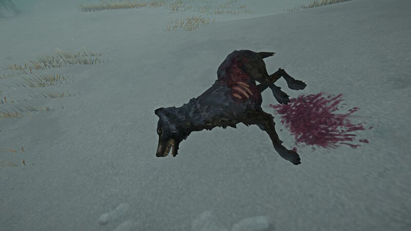 File:Ravaged Poisoned Wolf Carcass.jpg