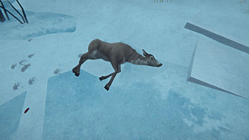 File:Deer Carcass.jpg