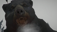 The Old Bear attacking the player