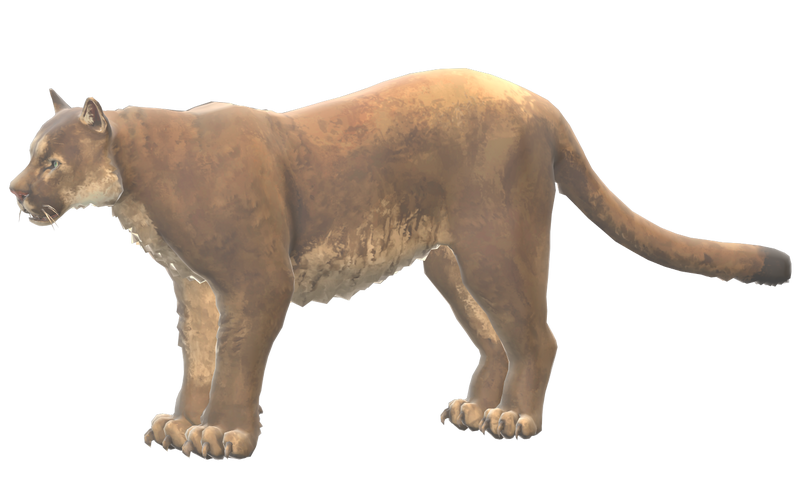 File:Cougar.png