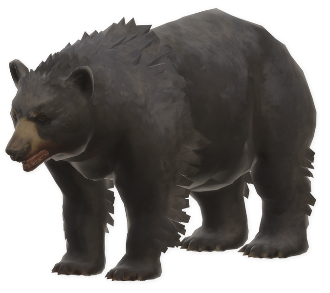 File:Old Bear.png