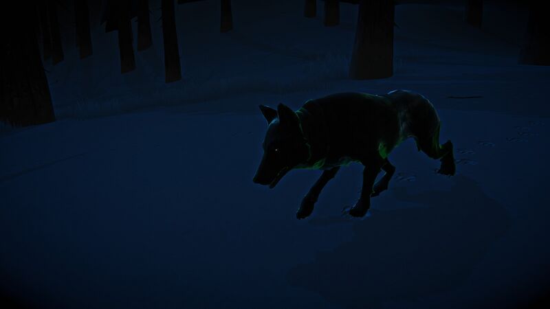 File:Aurora Wolf.jpg