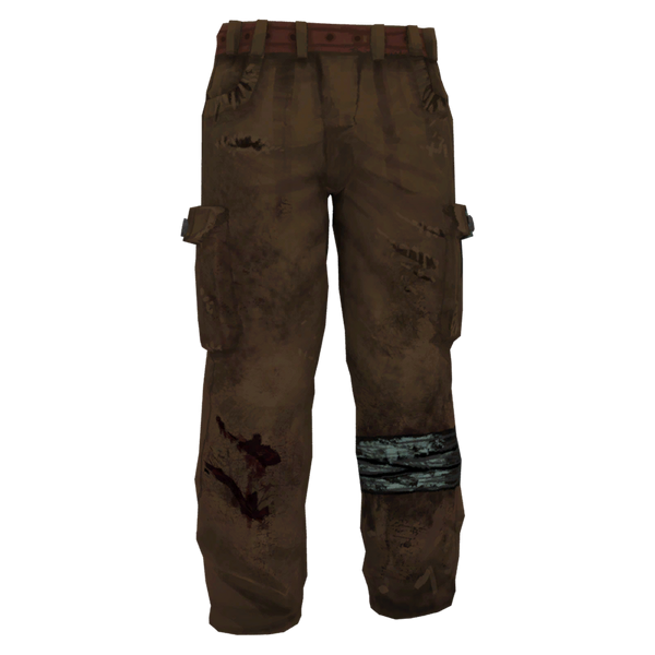 File:Cargo Pants Model Damaged icon.png
