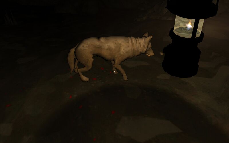 File:Wounded Wolf.jpg