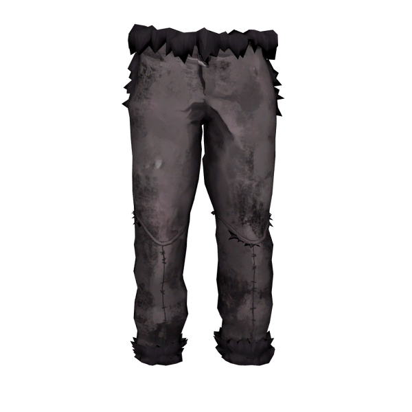 File:Wolfskin Pants damaged.png