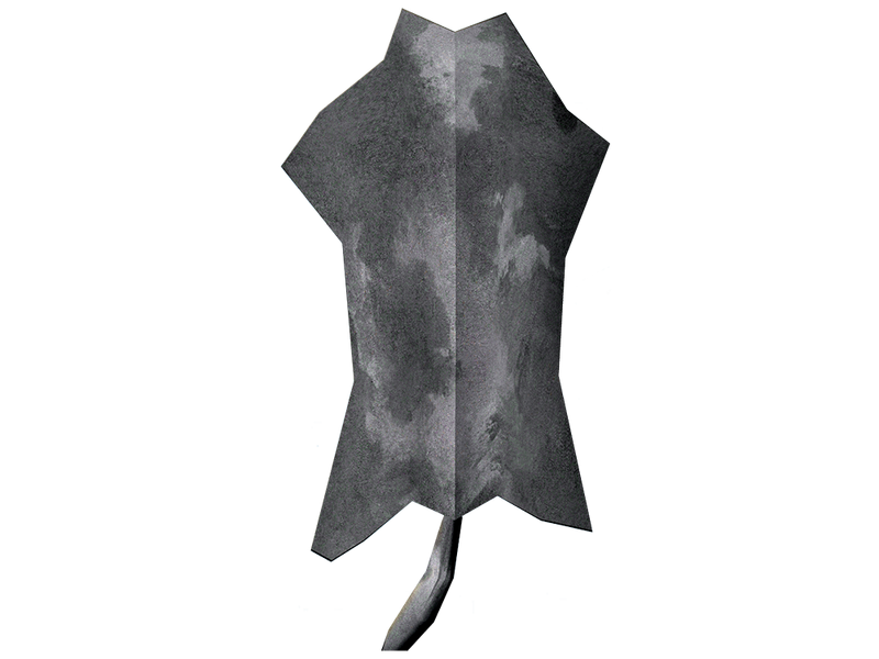 File:Cured wolf pelt.png