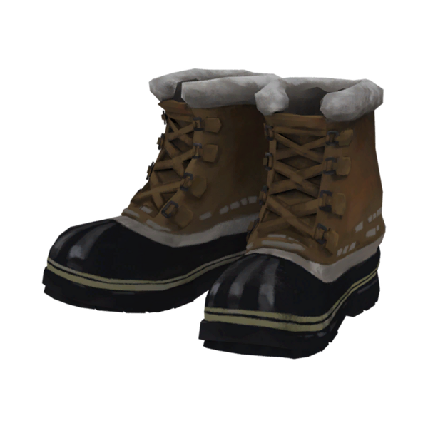 File:Insulated Boots Model icon.png