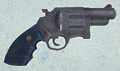 Wardens Revolver Ground Model