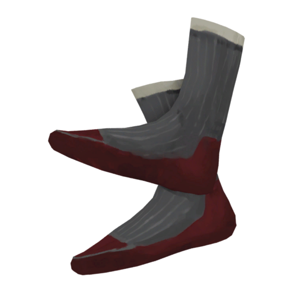 File:Climbing Socks Model icon.png