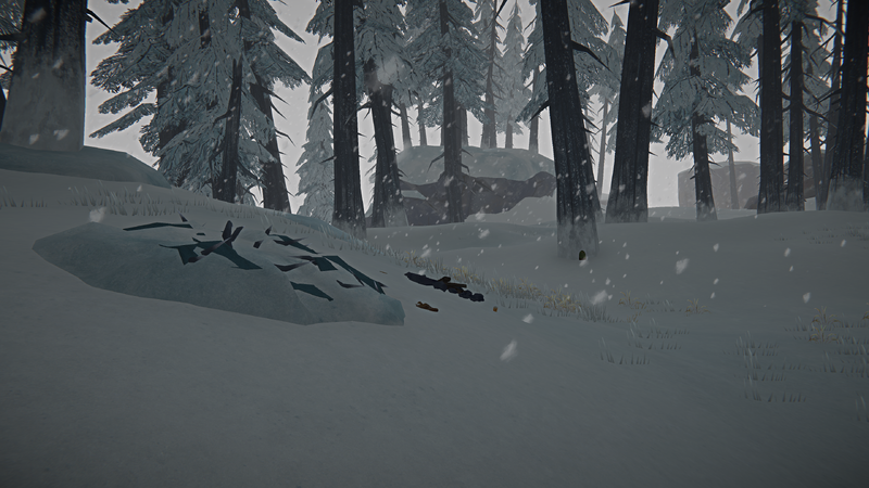 File:Drift Island Camp.png