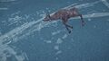 A frozen untouched doe.