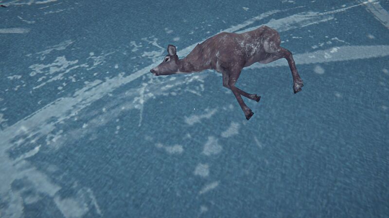File:Frozen Fresh Doe.jpg