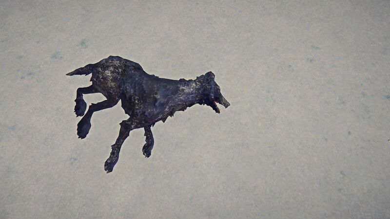 File:Poisoned Wolf Carcass Snow.jpg