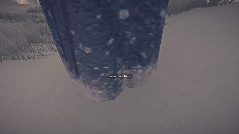 File:Loose Tree Bark.jpg