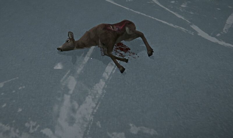 File:Fresh Ravaged Doe.jpg