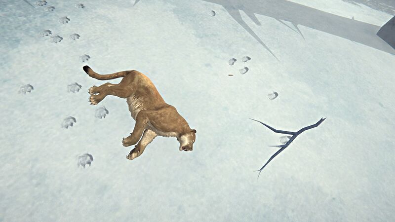 File:Cougar Carcass.jpg