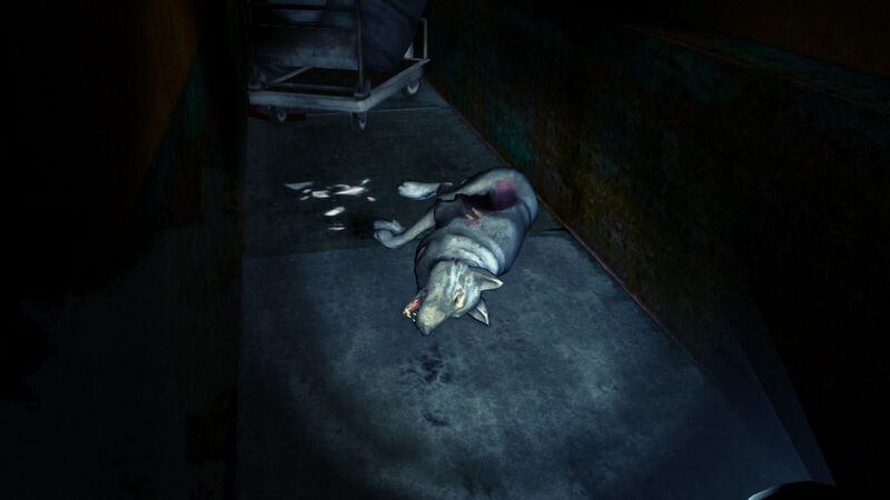 File:Dead fluffy.jpg