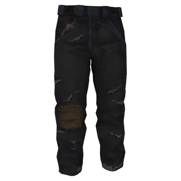 File:Snow Pants Model Damaged icon.png