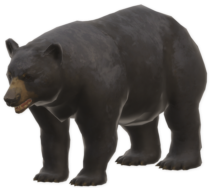 File:Bear.png