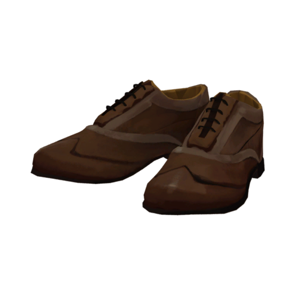 File:Leather Shoes Model icon.png