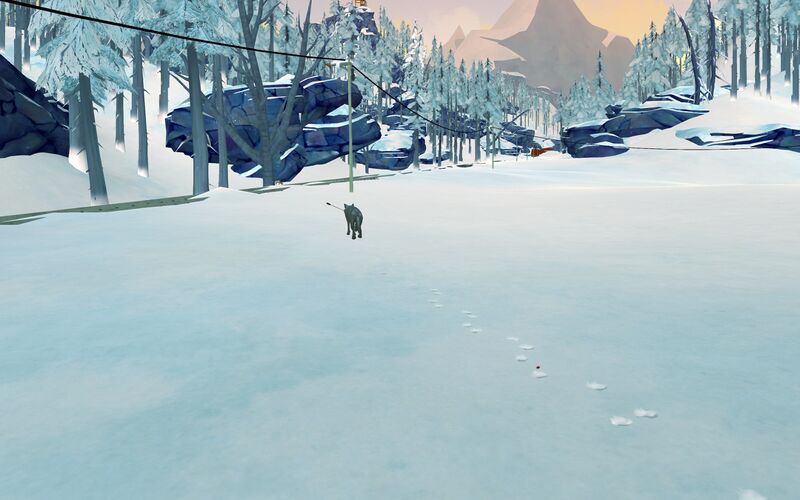 File:Tracking wounded wolf.jpg