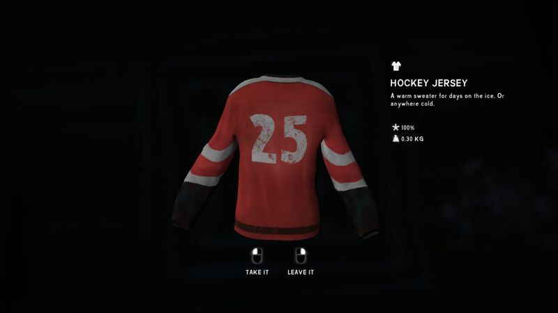 File:HockeyJerseyBack.jpg