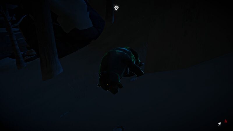 File:Bear Carcass Aurora.jpg