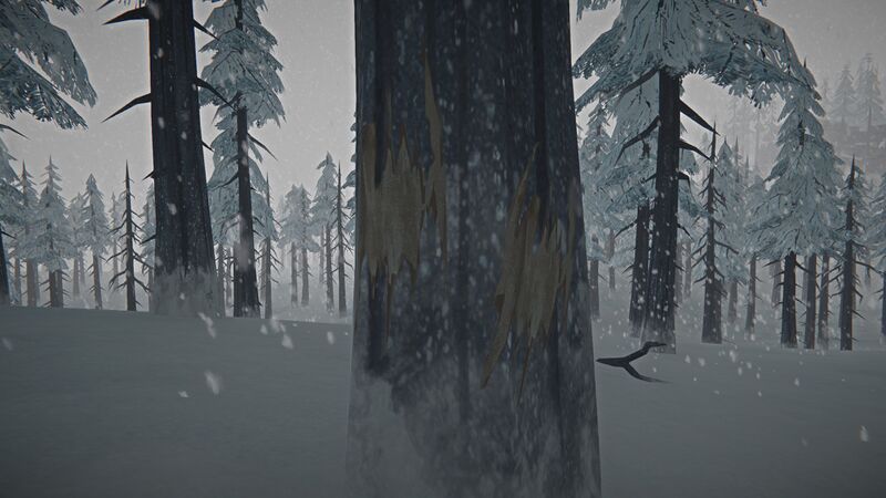 File:Cougar Tree Slashes.jpg