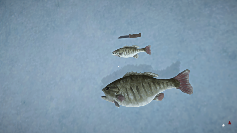 File:Big Bass Raw Size.png