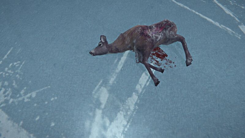File:Frozen Ravaged Doe.jpg