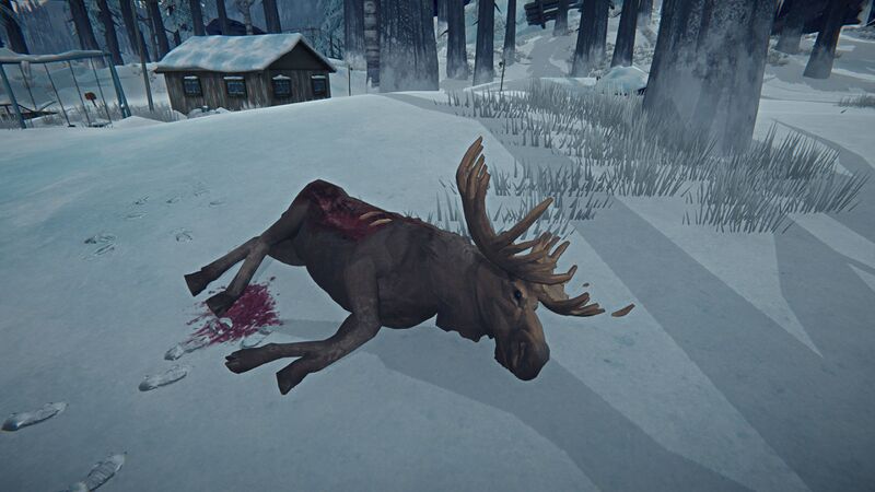 File:Moose Carcass Ravaged.jpg