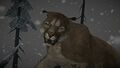 Cougar Arrival (Timberwolf Mountain 3/3)